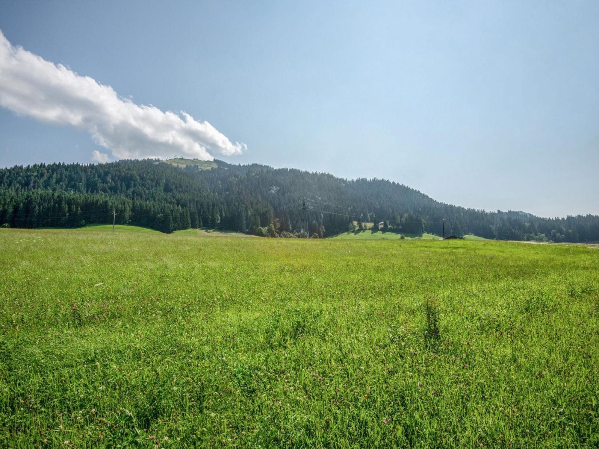 Valley View Holiday Home In Элльмау Экстерьер фото